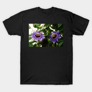 Purple Haze Passifloras T-Shirt